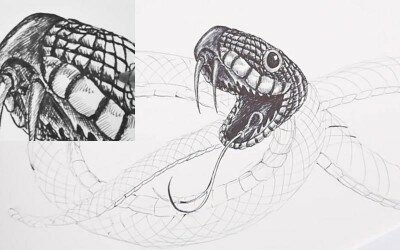 Как рисовать голову змеи поэтапно