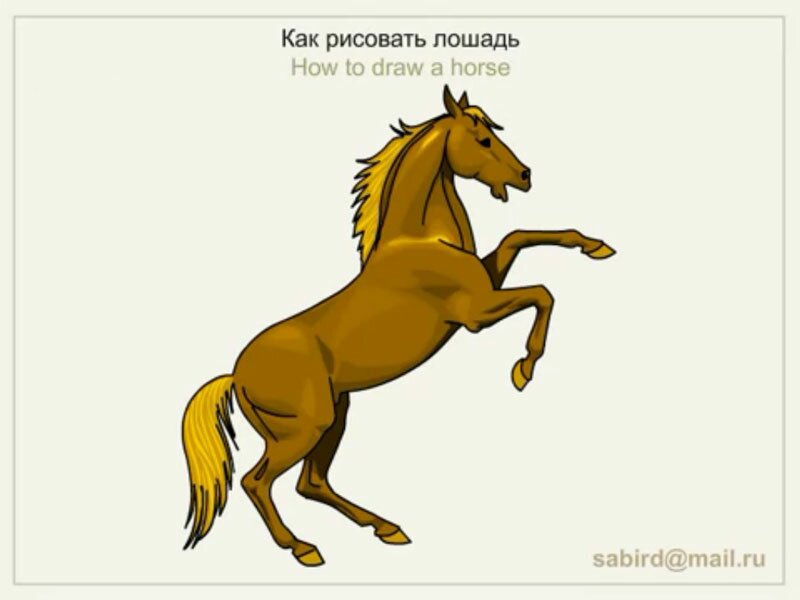 Как нарисовать лошадь на дыбах