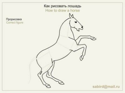Как нарисовать лошадь, стоящее на дыбах