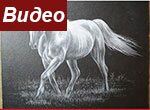 Как нарисовать лошадь видео