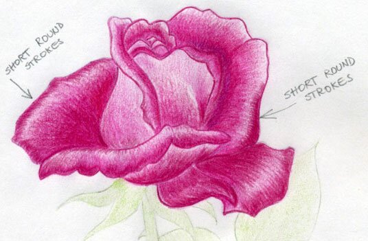 Как нарисовать красную розу