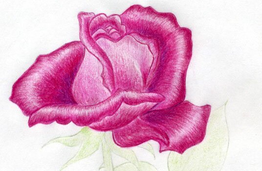 Как нарисовать розу для мамы