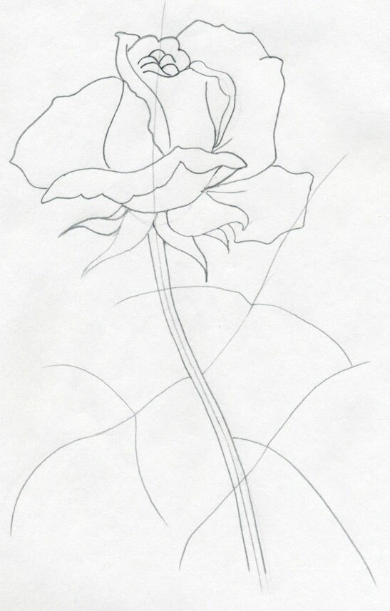 Учимся рисовать розу