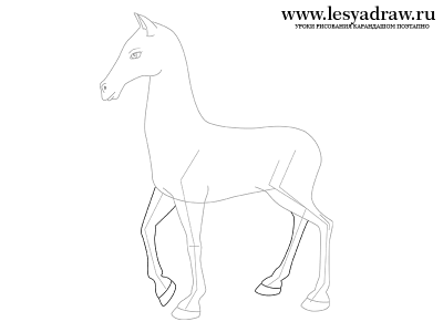 Как нарисовать копыта лошади