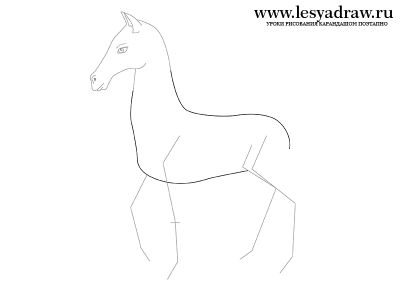 Как нарисовать коня поэтапно