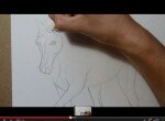 Рисуем лошадь тату