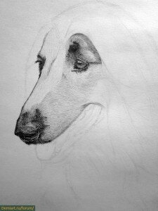 Как нарисовать шерсть около носа собаки