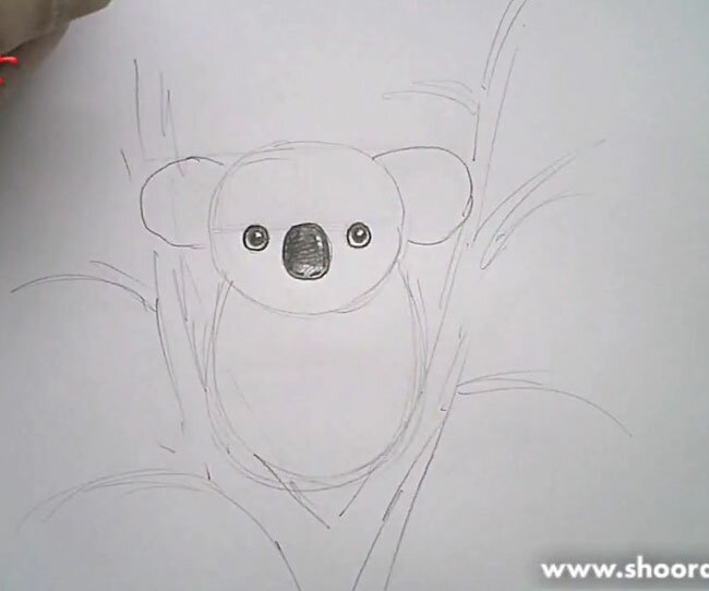 как рисовать коалу