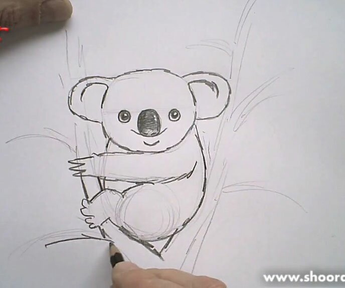 Как нарисовать коалу