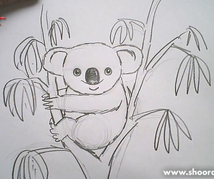 Как  нарисовать коалу карандашом