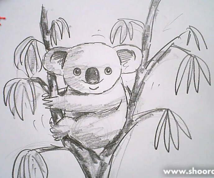 Как нарисовать коалу карандашом поэтапно