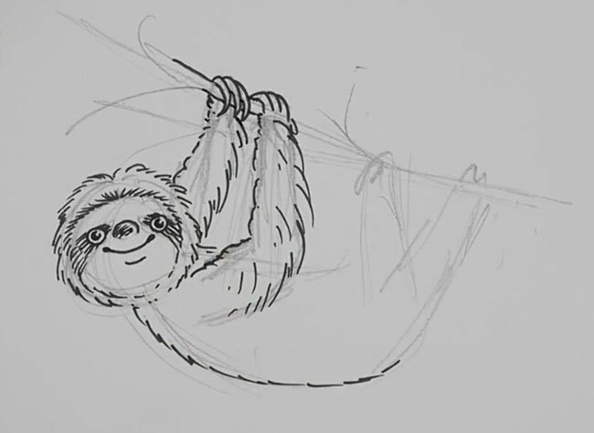 Как нарисовать ленивца поэтапно