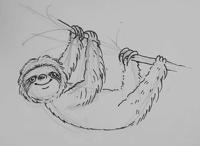 Как нарисовать ленивца карандашом