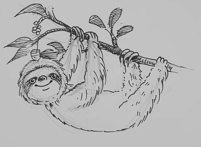 Как нарисовать ленивца