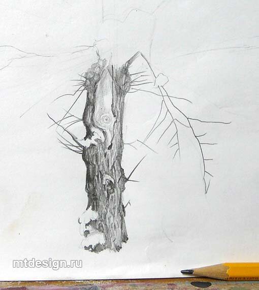 Как нарисовать ствол дерева карандашом