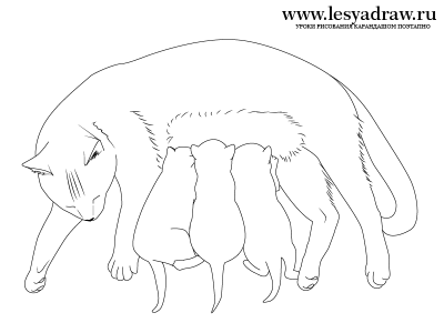 Как нарисовать кошку с котятами карандашом поэтапно
