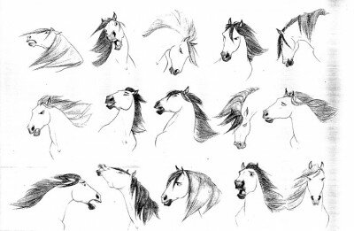 Учимся рисовать морду лошади