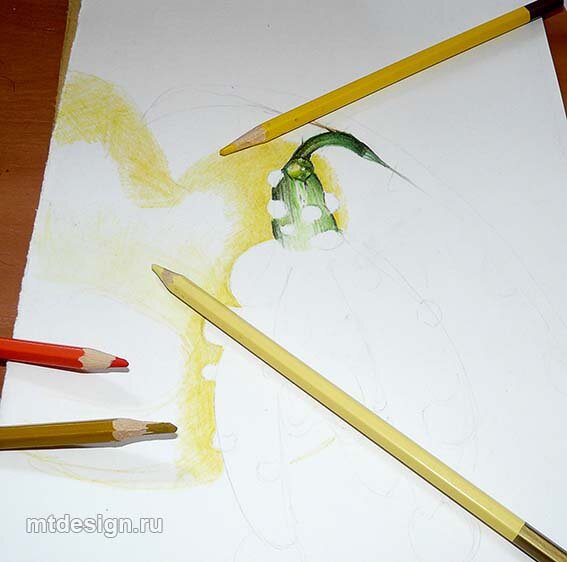 Рисуем цветными карандашами
