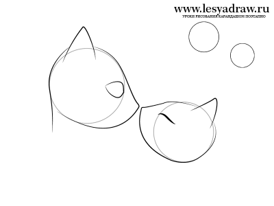 Как нарисовать морду котов