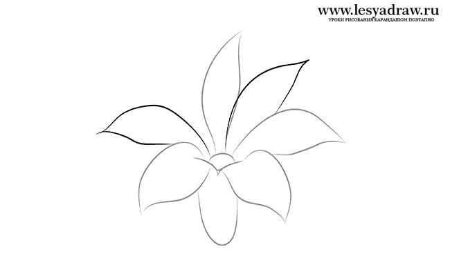 Как нарисовать цветик семицветик карандашом поэтапно