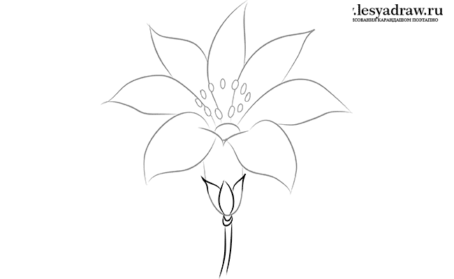 Как нарисовать цветик семицветик поэтапно