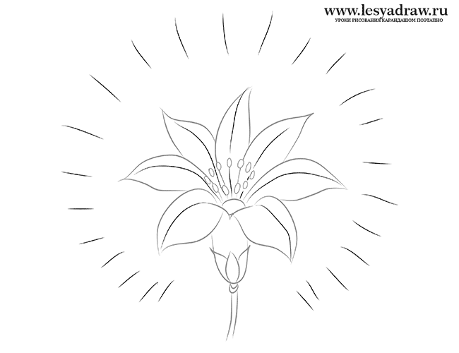 Как рисовать цветик семицветик из мультика