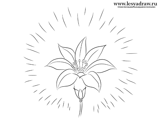 Как нарисовать цветик семицветик