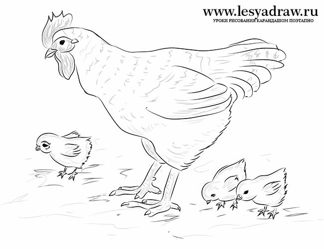 Как нарисовать курицу с цыплятами