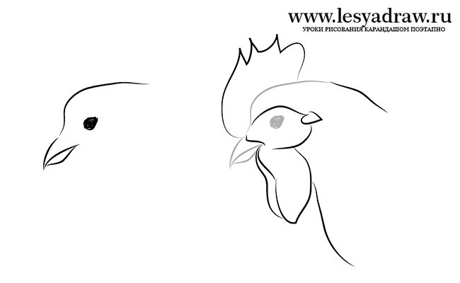 Как нарисовать морду курицы
