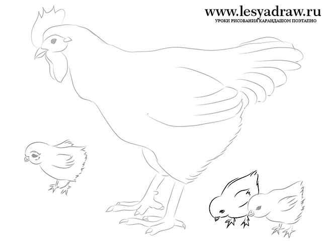 Как нарисовать курицу с цыплятами поэтапно