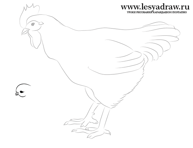 Курица урок рисования