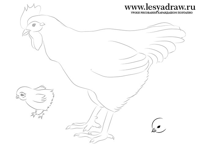 Как нарисовать курицу с цыплятами карандашом поэтапно