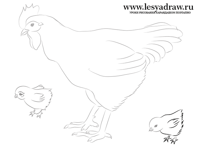 Как нарисовать курицу с цыплятами карандашом
