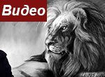 Как нарисовать портрет льва карандашом