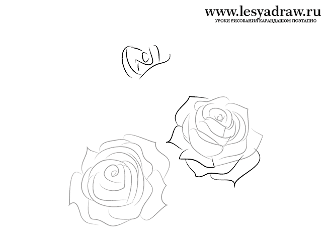 Как нарисовать несколько роз