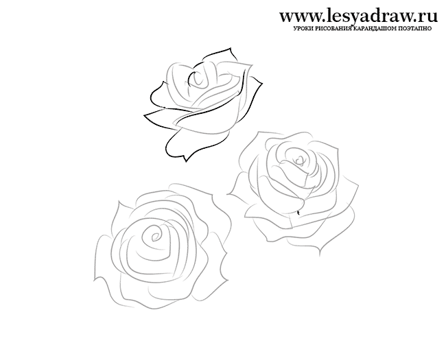 Как нарисовать три розы