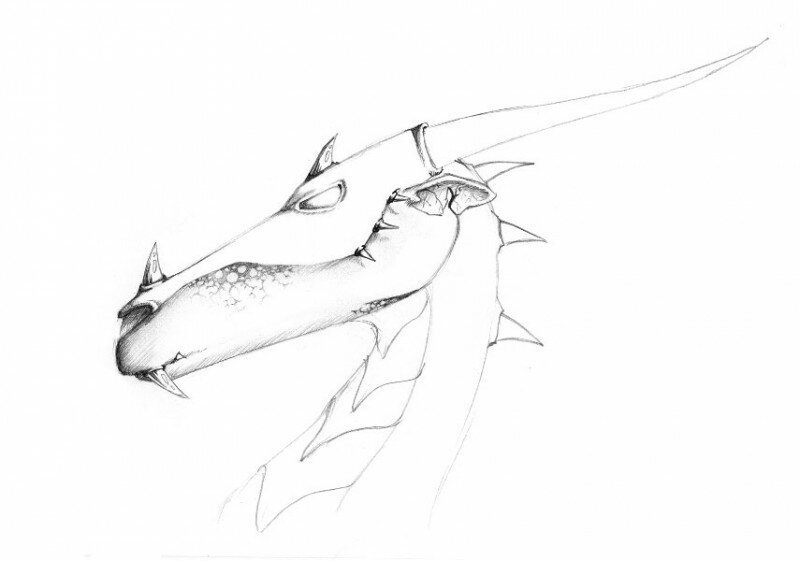 как нарисовать дракона поэтапно карандашом