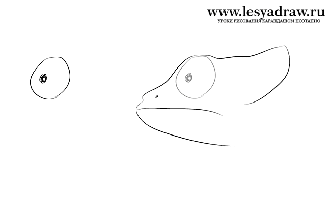 Как нарисовать морду хамелеона