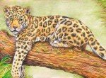 Как нарисовать леопарда