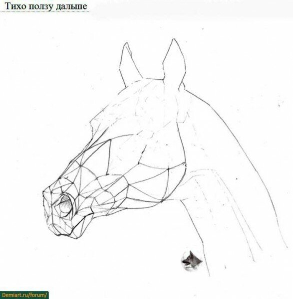 Как нарисовать голову лошади