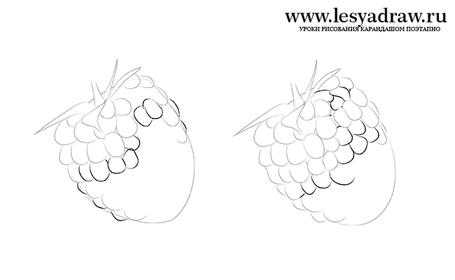 как нарисовать ягоду малину