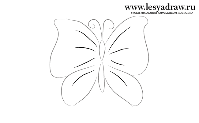 Как нарисовать бабочку ребенку