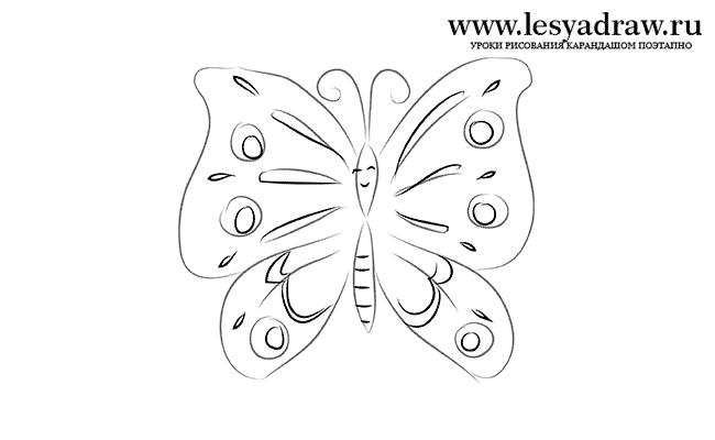 Как нарисовать бабочку карандашом 