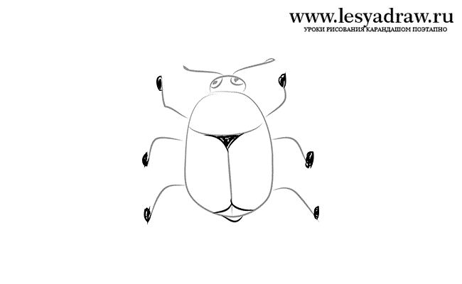 Как нарисовать жука ребенку