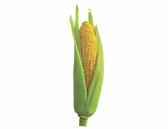 Урок рисования кукурузы