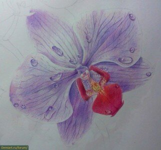 Как нарисовать красивый цветок