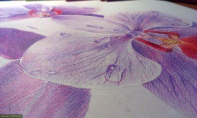 Орхидеи урок рисования