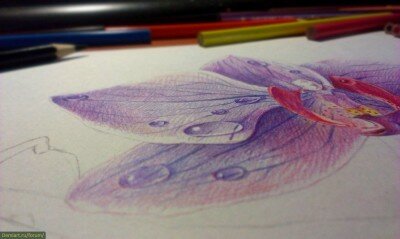 Орхидеи урок рисования