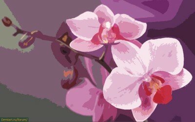 Орхидеи использование цветов