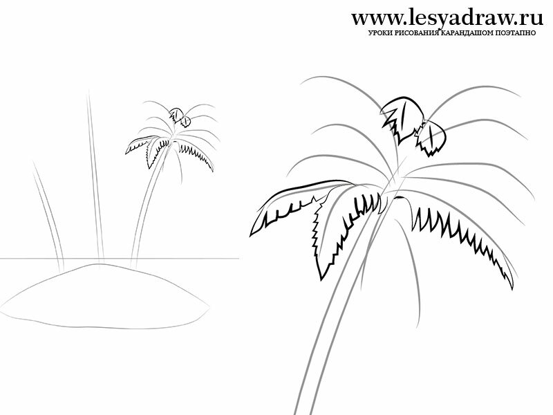 как нарисовать листья пальмы